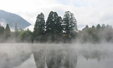 金鱗湖の写真