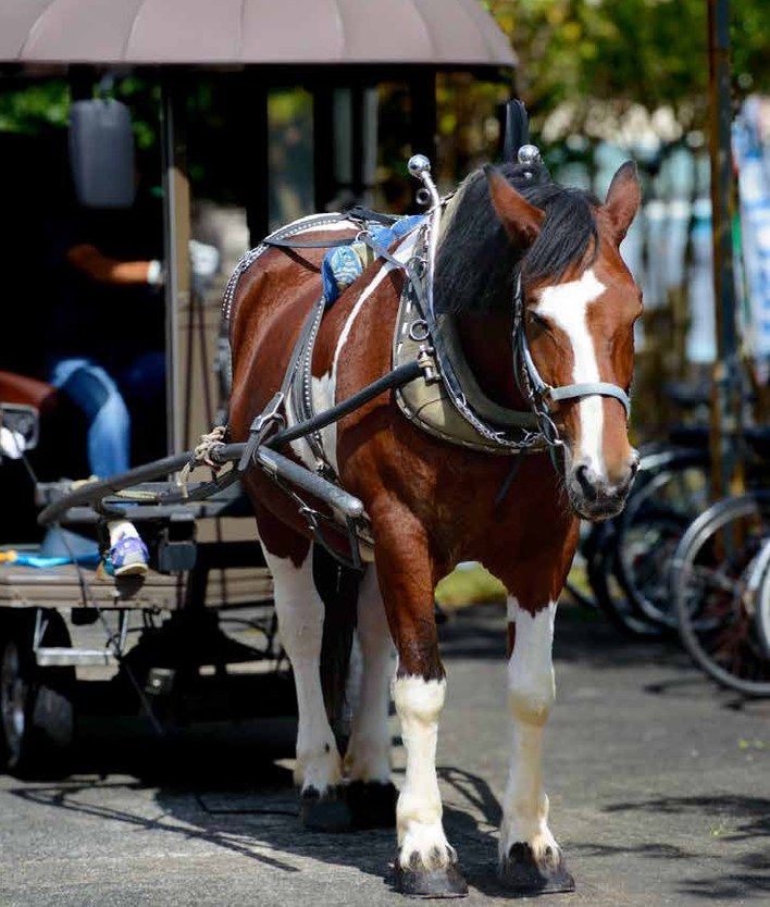 辻馬車
